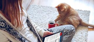 News wrap-up: This week's veterinary headlines, plus celebrating creativity during the pandemic