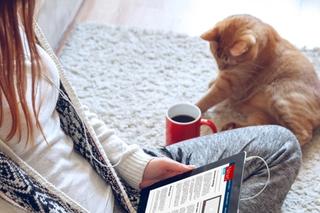 News wrap-up: This week's veterinary headlines, plus celebrating creativity during the pandemic