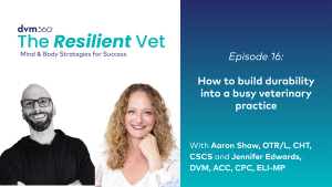 How to build durability into a busy veterinary practice