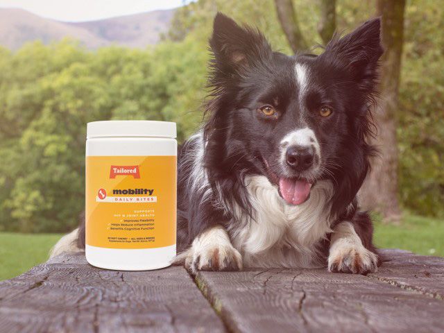 Tailored Pet adds new supplements and treats for its summer product line 4 Tailored Pet adds new supplements and treats for its summer product line