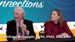 EP. 11 How CPMA affects survivability