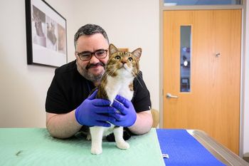 Feline Health Center at NC State