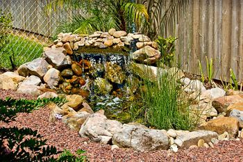 garden-814824-1404223331386.jpg
