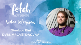 Gianluca Bini, DVM, MRCVS, DACVAA