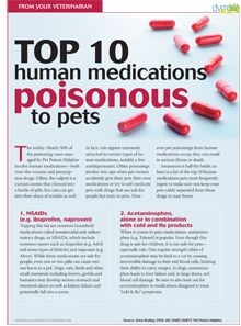 what medications are toxic to dogs
