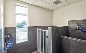 ancillary-bathing-450.jpg