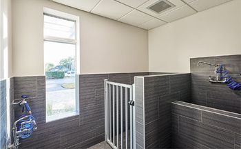 ancillary-bathing-450.jpg