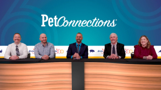 Meet the canine parvovirus panel