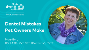 Dental mistakes pet owners make