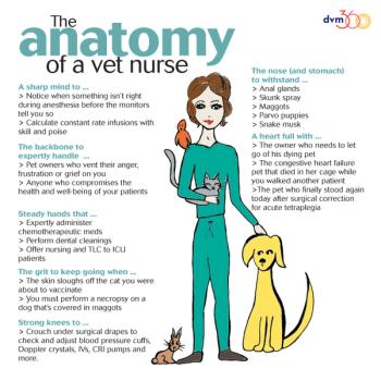 anatomy-of-vet-nurse_694px.jpg