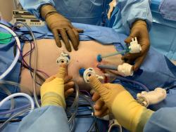 Understanding laparoscopy in veterinary surgery