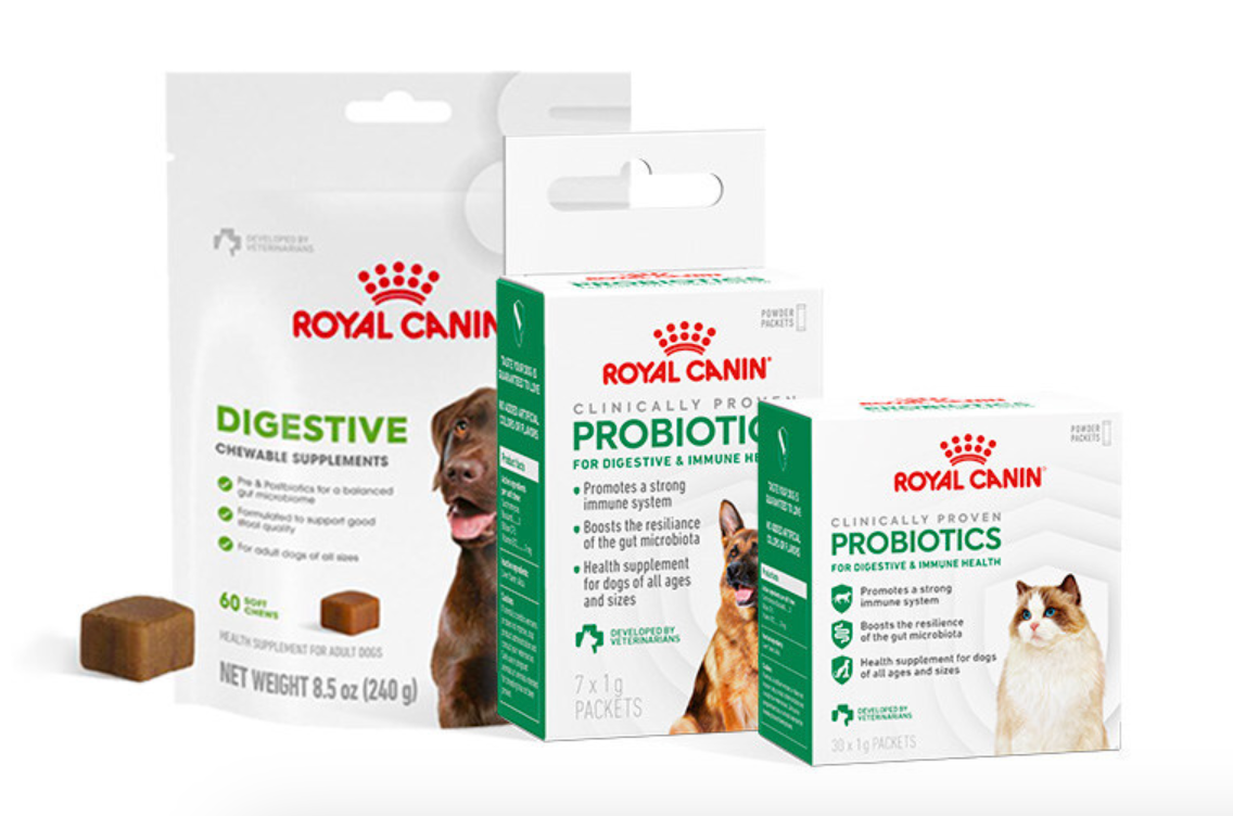 National Pet Wellness Day is launched with new line of supplements and probiotics National Pet Wellness Day is launched with new line of supplements and probiotics