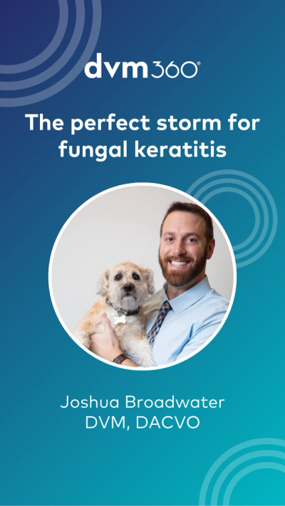 The perfect storm for fungal keratitis