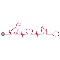 IDEXX launches first dual-species point-of-care NT-proBNP test for cardiac disease in cats and dogs