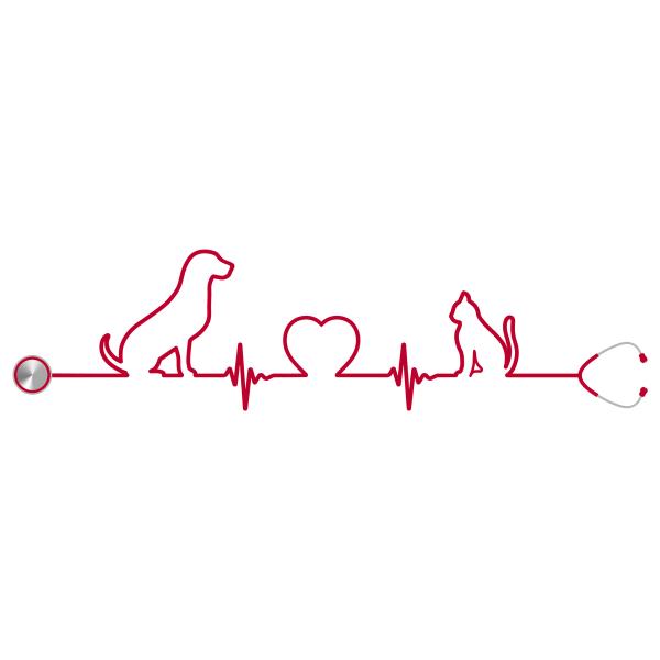 IDEXX launches first dual-species point-of-care NT-proBNP test for cardiac disease in cats and dogs