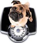 veterinary_weight_1011_sb10064161f-001-42156850-641110-743093-1384181174705.jpg