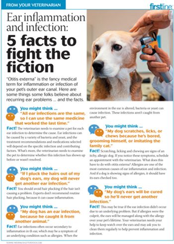 veterinary-handout-fl-Otitis-300px.jpg