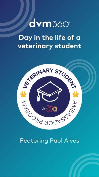 Day in the life of a veterinary student: Paul Alves
