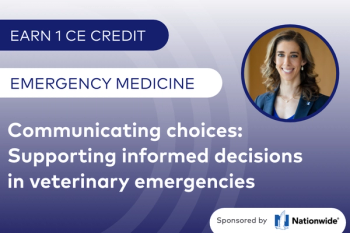 Communicating choices: Supporting informed decisions in veterinary emergencies