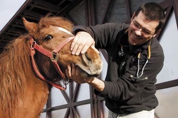 veterinary-vet-examining-horse-teeth-44122432_450px.jpg