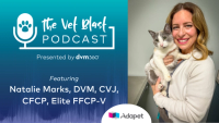 Managing, treating, and monitoring canine diabetes