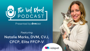 Managing, treating, and monitoring canine diabetes