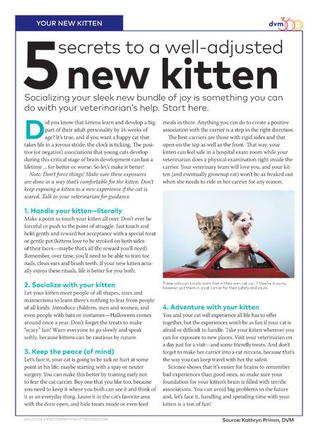 Client handout: Kitten socialization