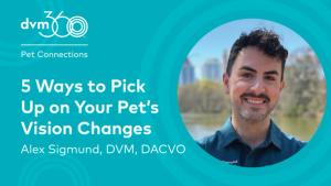 5 Ways to pick up on your pet's vision changes