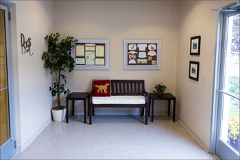 Veterinary_Belacop_vestibule_450.png