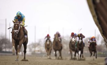 racehorse-fractures-693010-1384222222502.jpg