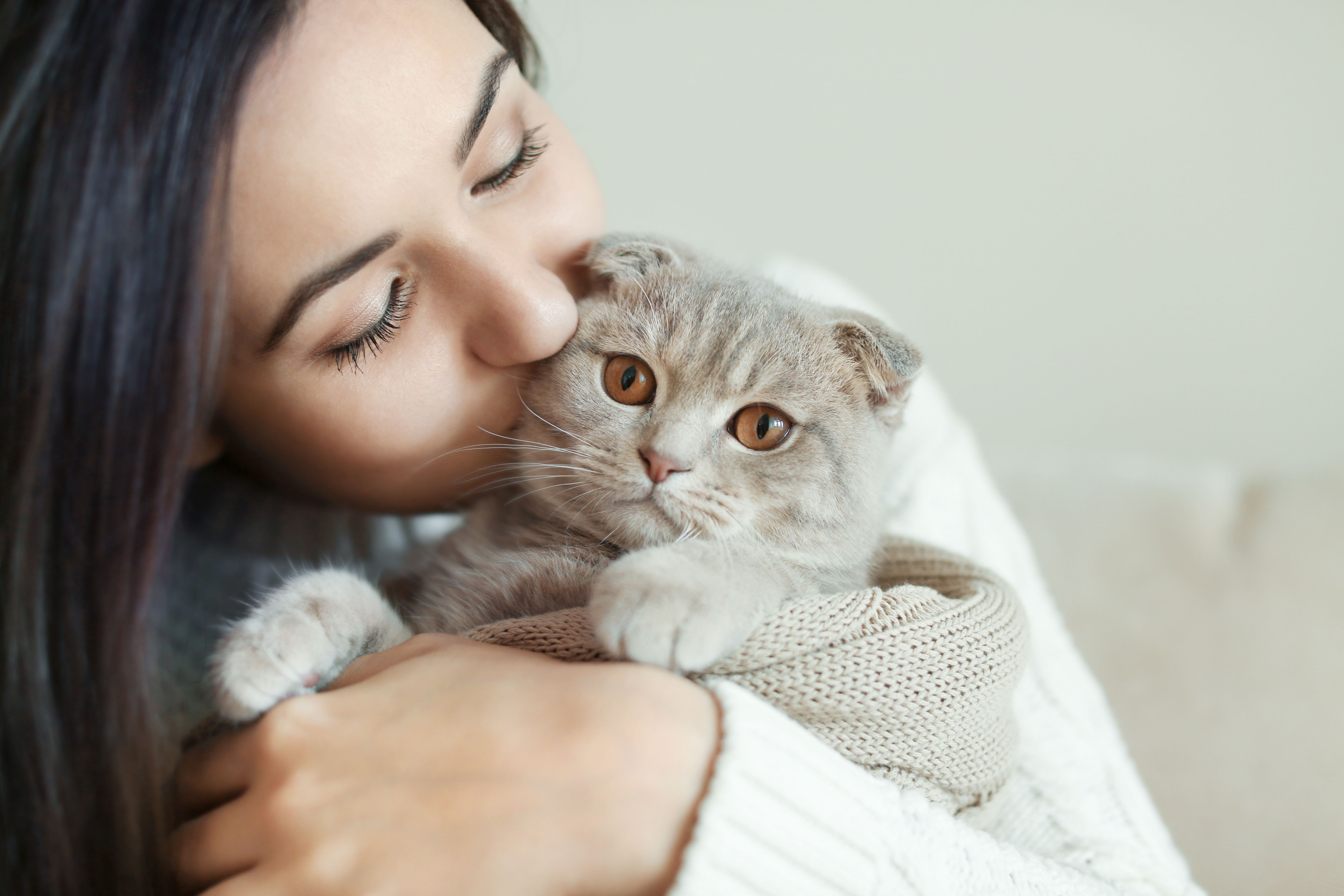 Game-changing feline diet promises relief for people allergic to cats