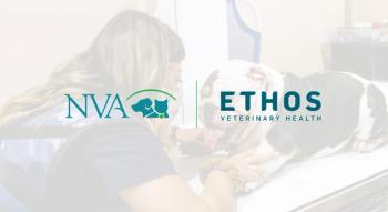 NVA and Ethos