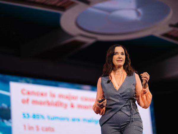 Q&A With Iveta Becvarova, DVM, MS, DACVIM (Nutrition)