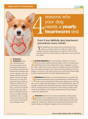 does my dog need an annual heartworm test