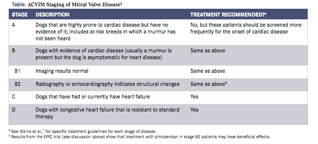 How Is Cardiomyopathy Treated In Dogs