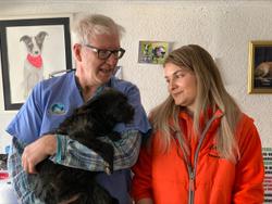 Veterinarian travels to Ukraine border to help provide animal care