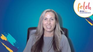 Spectrum of care in heartworm disease