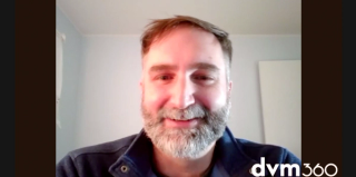 COVID-19: The changing face of veterinary practice