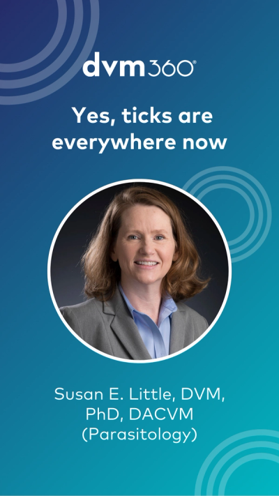 Yes, ticks are everywhere now