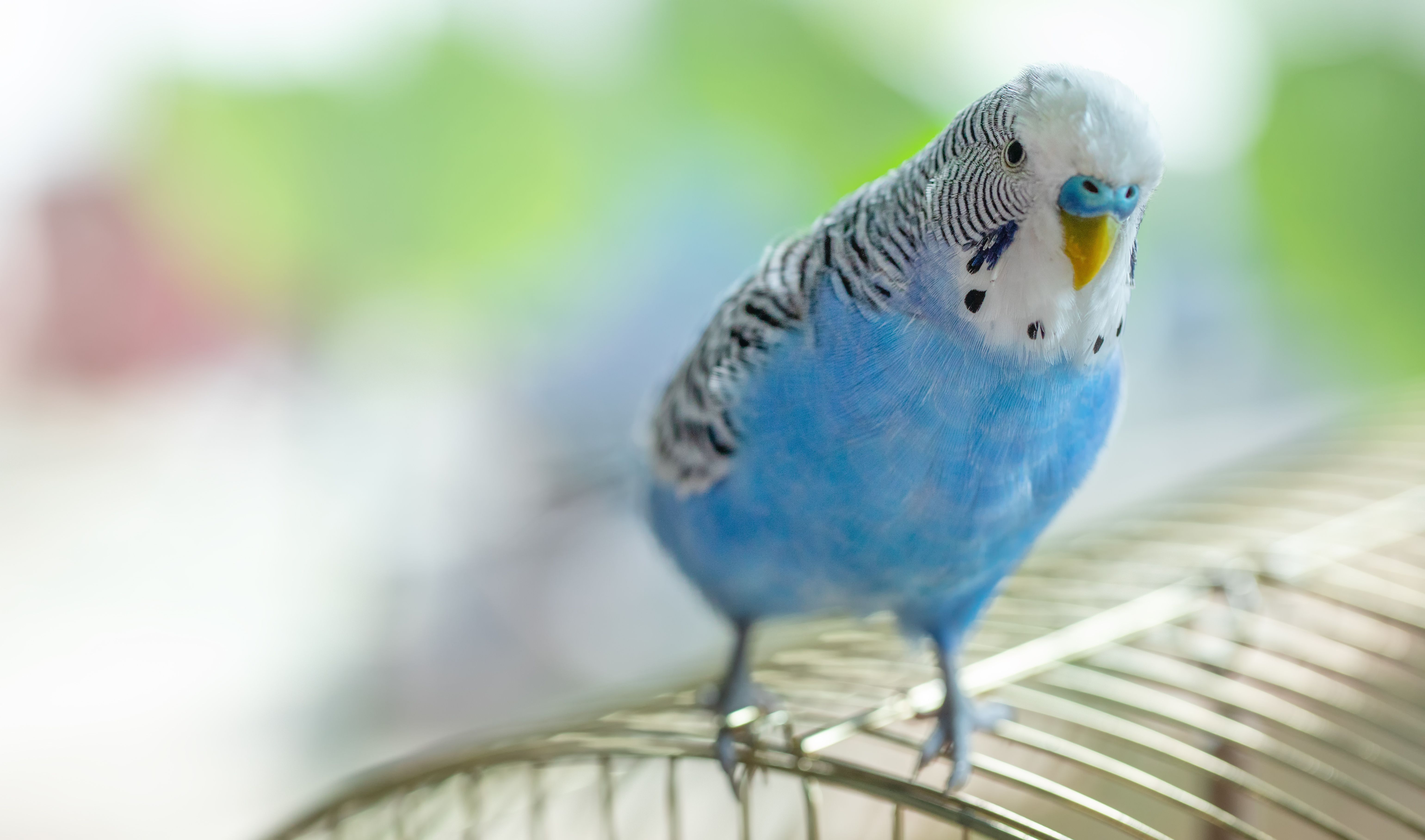 Photo: CreativeSuburb/Adobe Stock