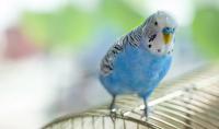 Photo: CreativeSuburb/Adobe Stock