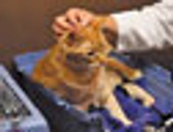veterinary_video2-826307-1404218228436.jpg