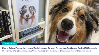 dvm360 Live! with Dr. Adam Christman