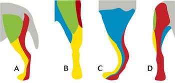 veterinary_Figure1_M5_460px.jpg