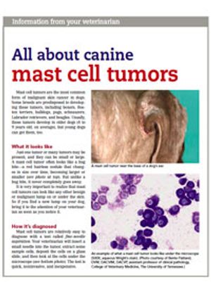 MastCell_Handout_200x270-783653-1384158116636.jpg