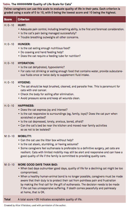 Feline Euthanasia Part 1 Ethics Aesculapian Authority And Moral Stress