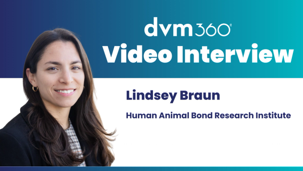 Researching the human-animal bond