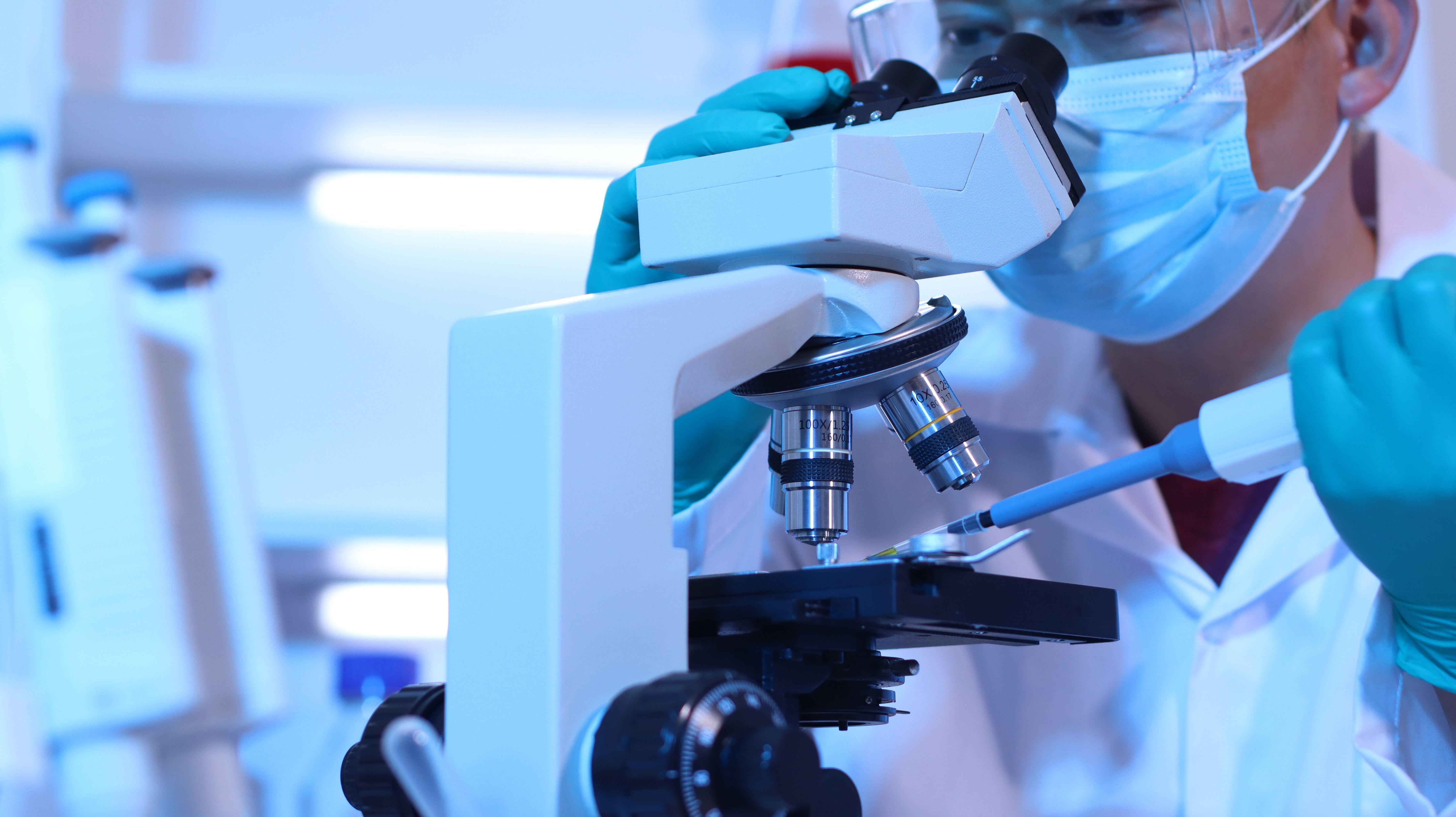 Wnioski o stypendium WSAVA Michael J. Day Scholarship 2024 są już otwarte Wnioski o stypendium WSAVA Michael J. Day Scholarship 2024 są już otwarte