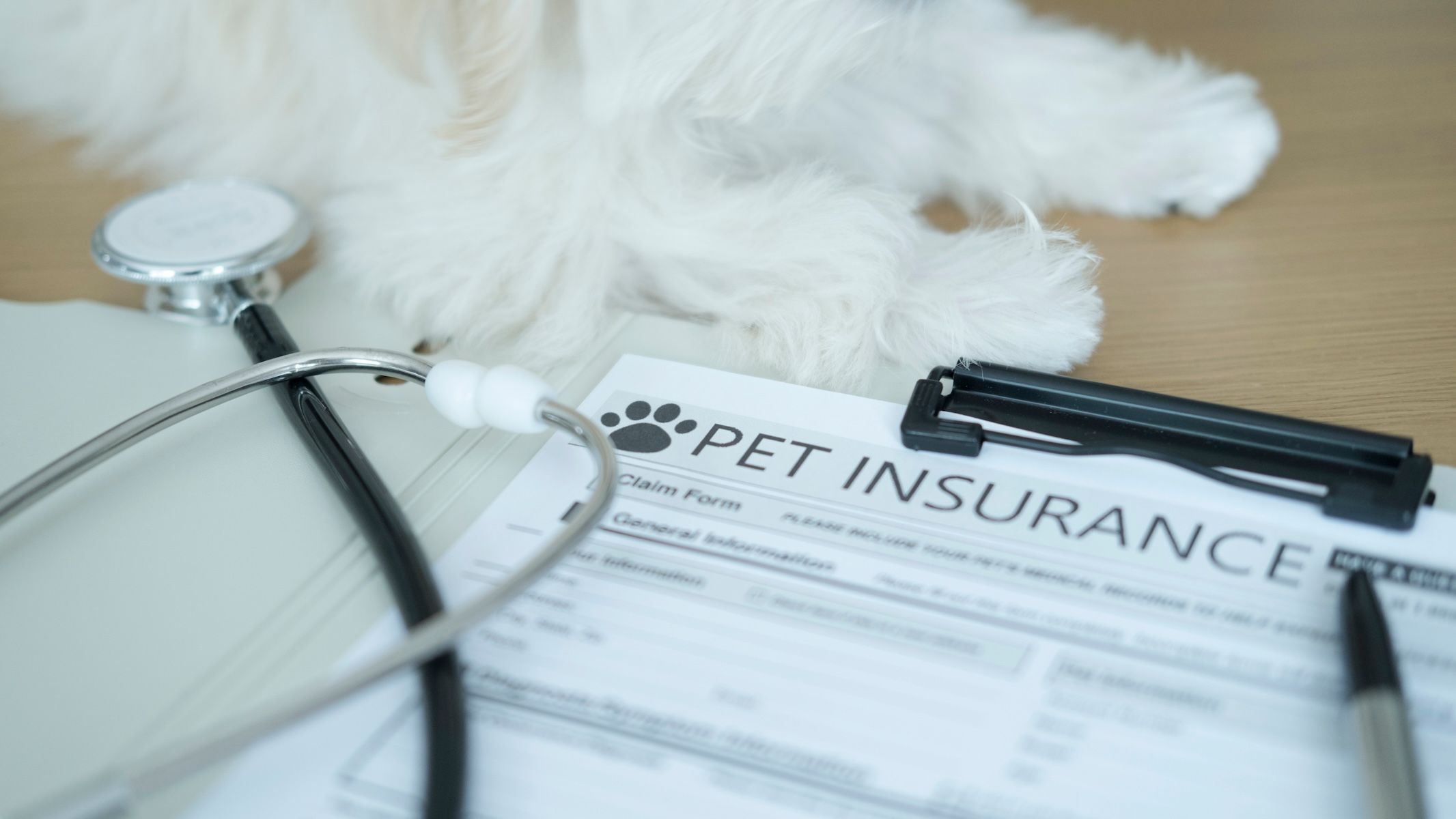 Pet insurance