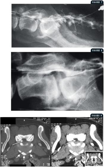 i4-169902-1384772866560.jpg